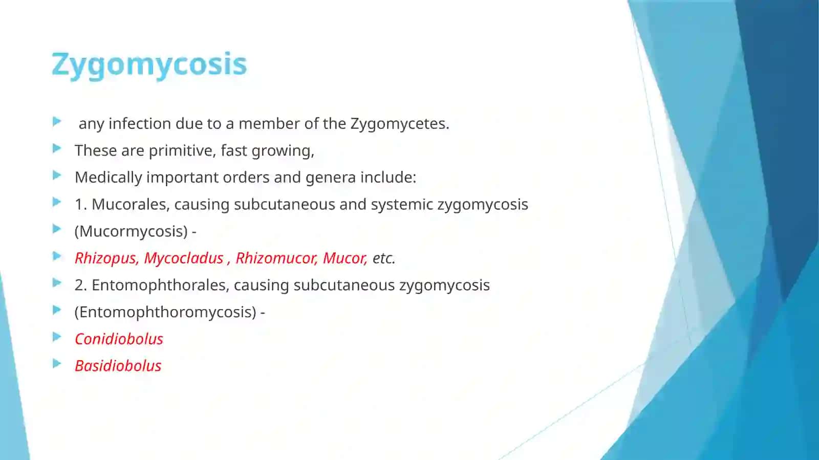 Zygomycosis 2
