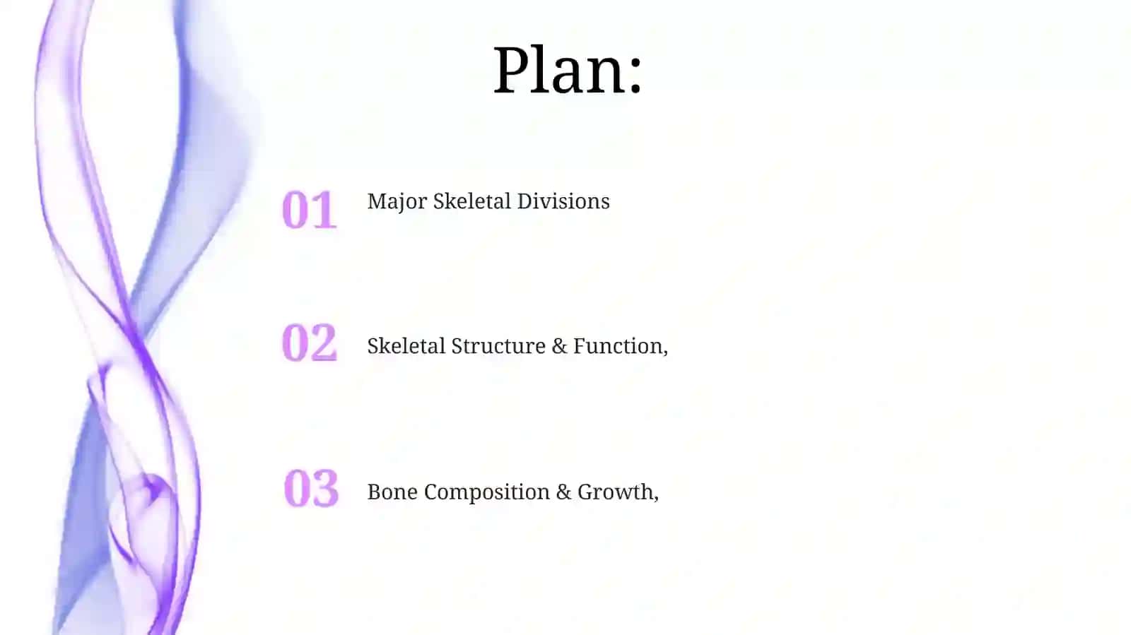 Skeletal system of a human being 2