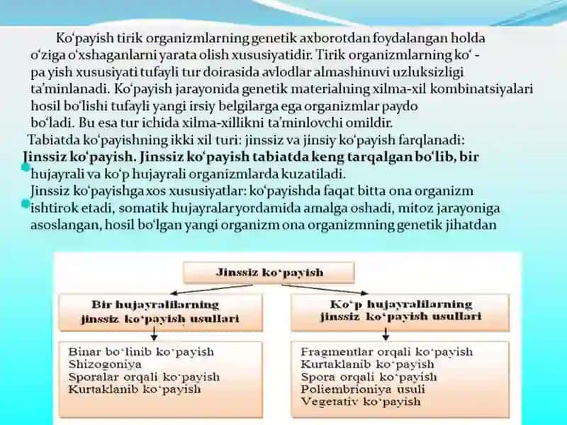 Jinssizko‘payish 2