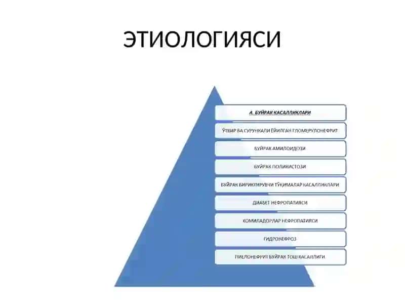 СИМПТОМАТИК АРТЕРИАЛ ГИПЕРТОНИЯ 2