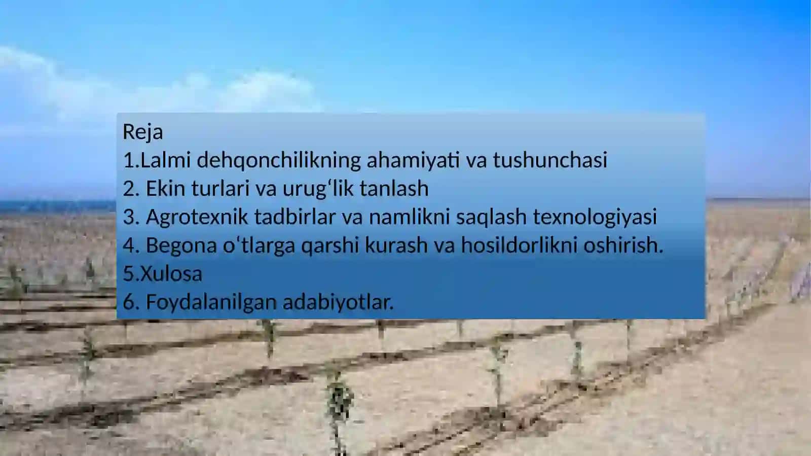 sug'orilmaydigan yerlarda ekin ekish 2