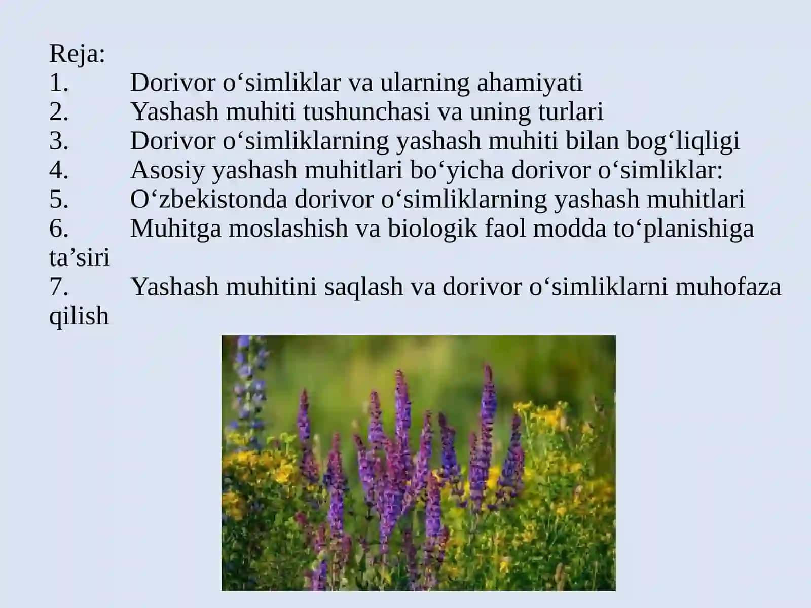 Dorivor o‘simliklar va ularning yashash muhiti 2