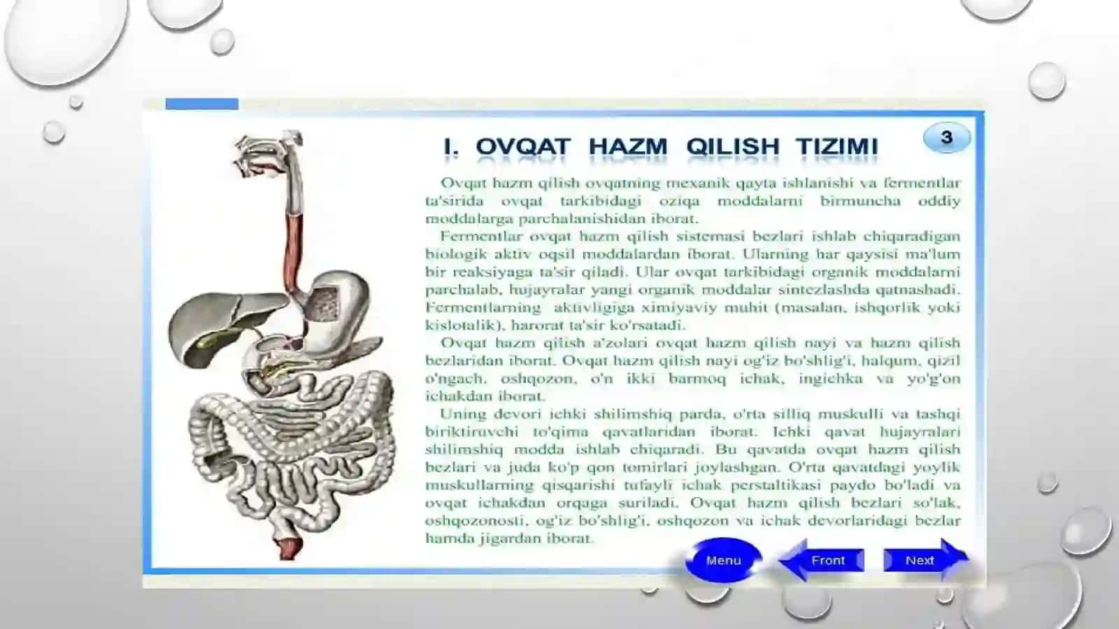 Ovqat hazm qilish sistemasi 2