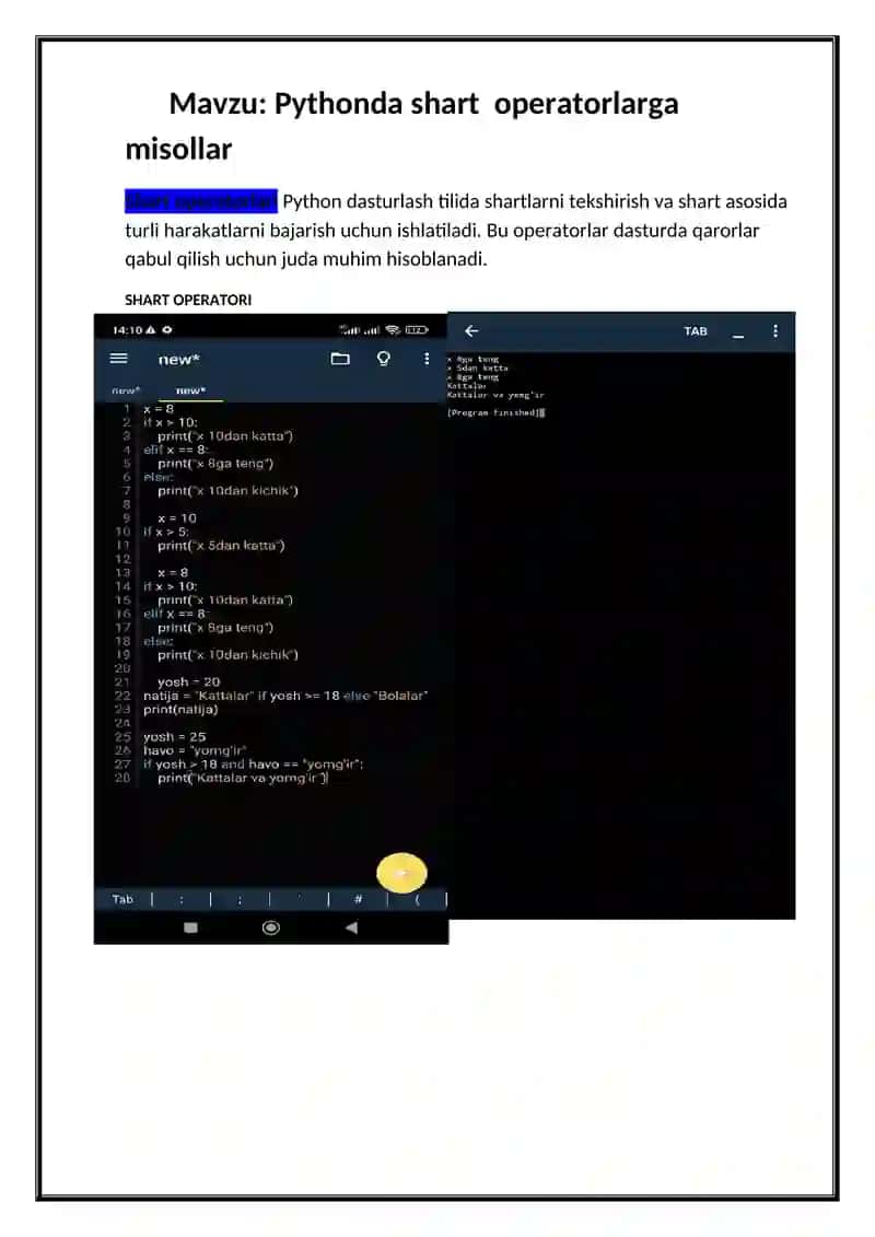 Pythonda shart operatorlarga misollar 2
