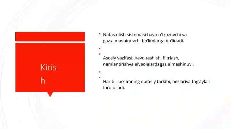 NAFAS OLISH SISTEMASI 2