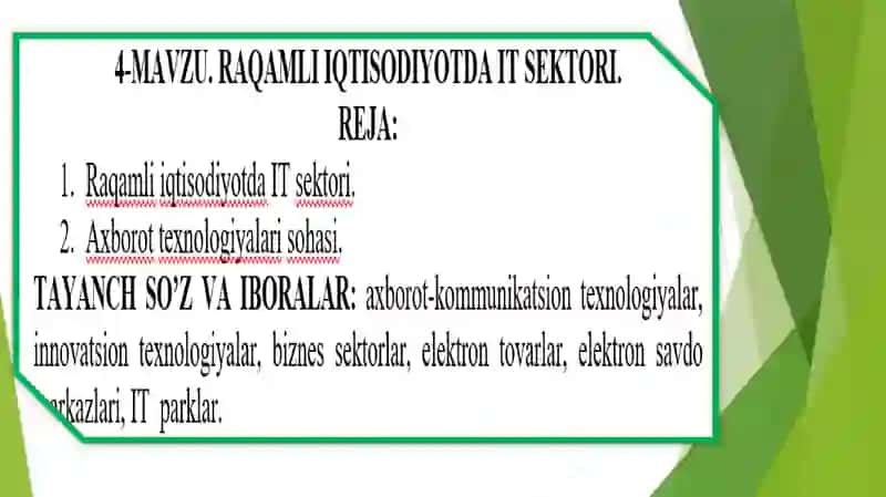 Raqamli iqtisodiyotda IT sektori. 2