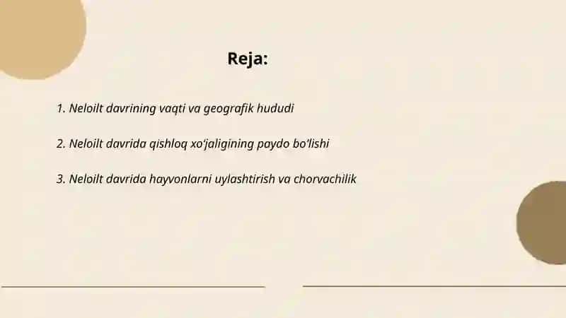 Neolit davri 2