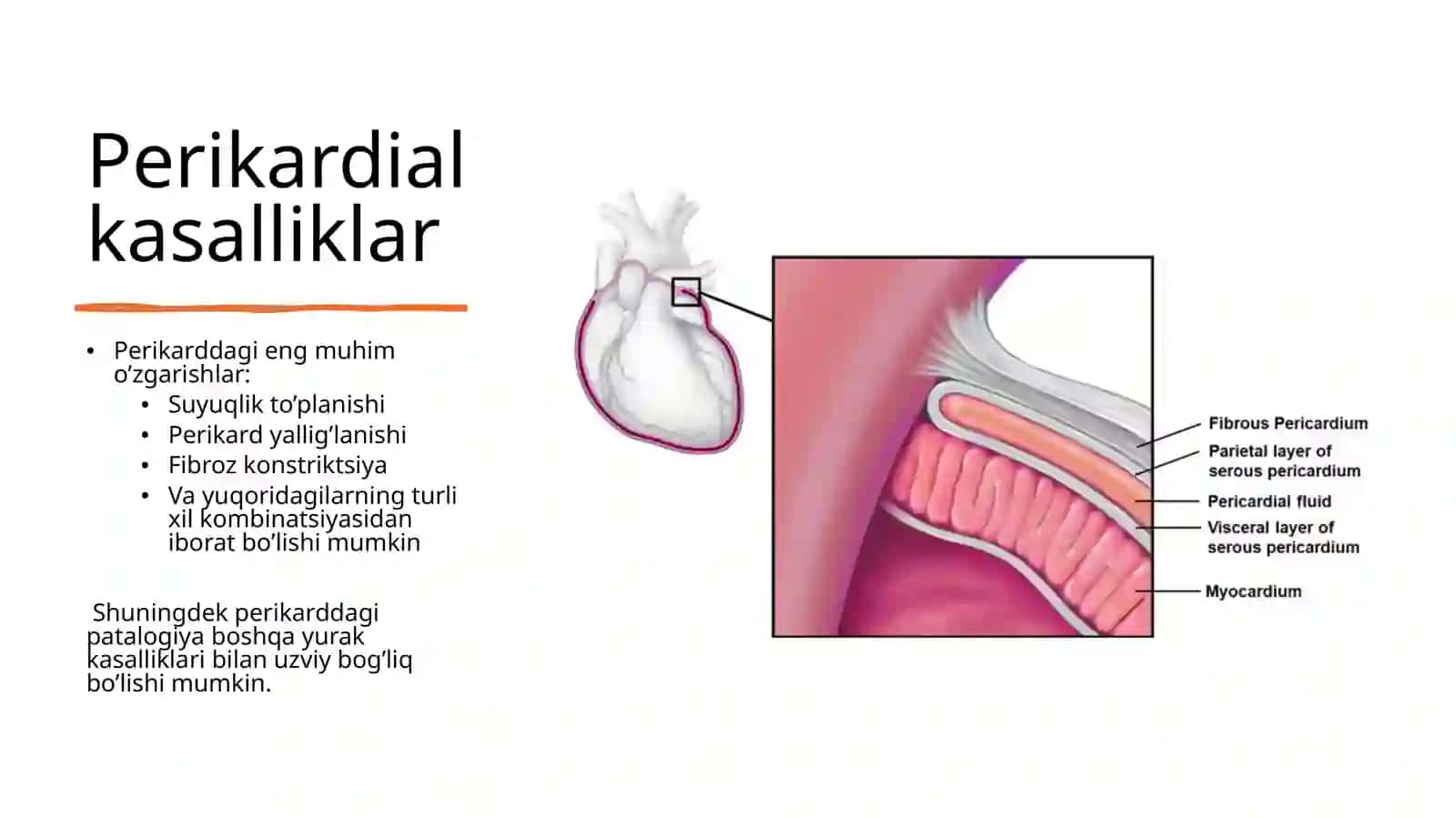 Perikard patalogiyasida yurak funksiyasining buzilishlari 2