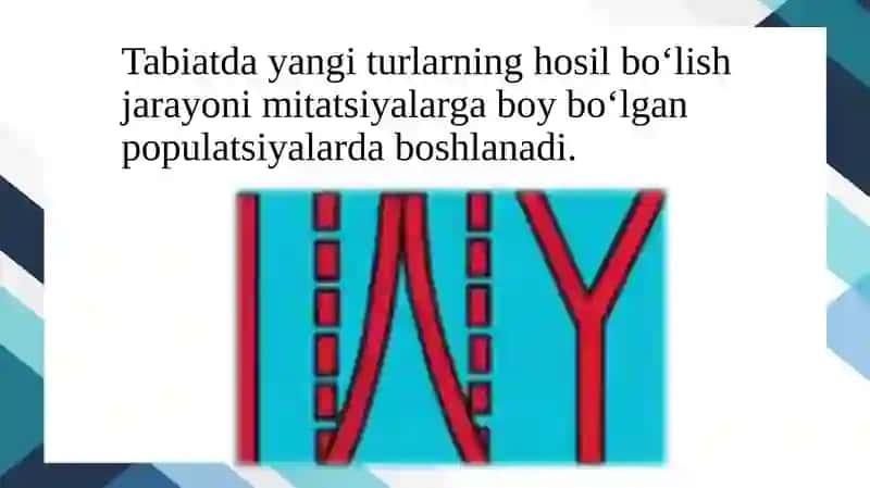 Turlarning paydo bo`lishi 2