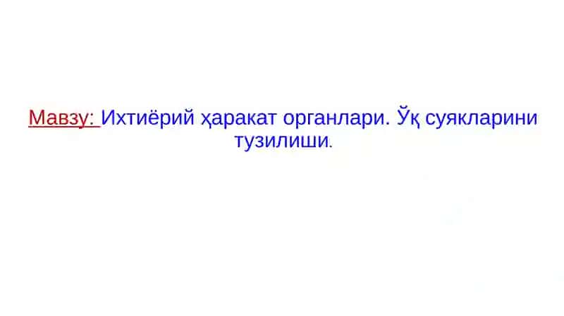 Ҳайвонлар анатомияси 2