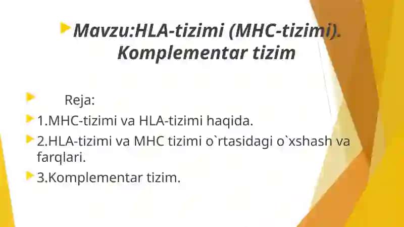 HLA-tizimi(MHC-tizimi) 2