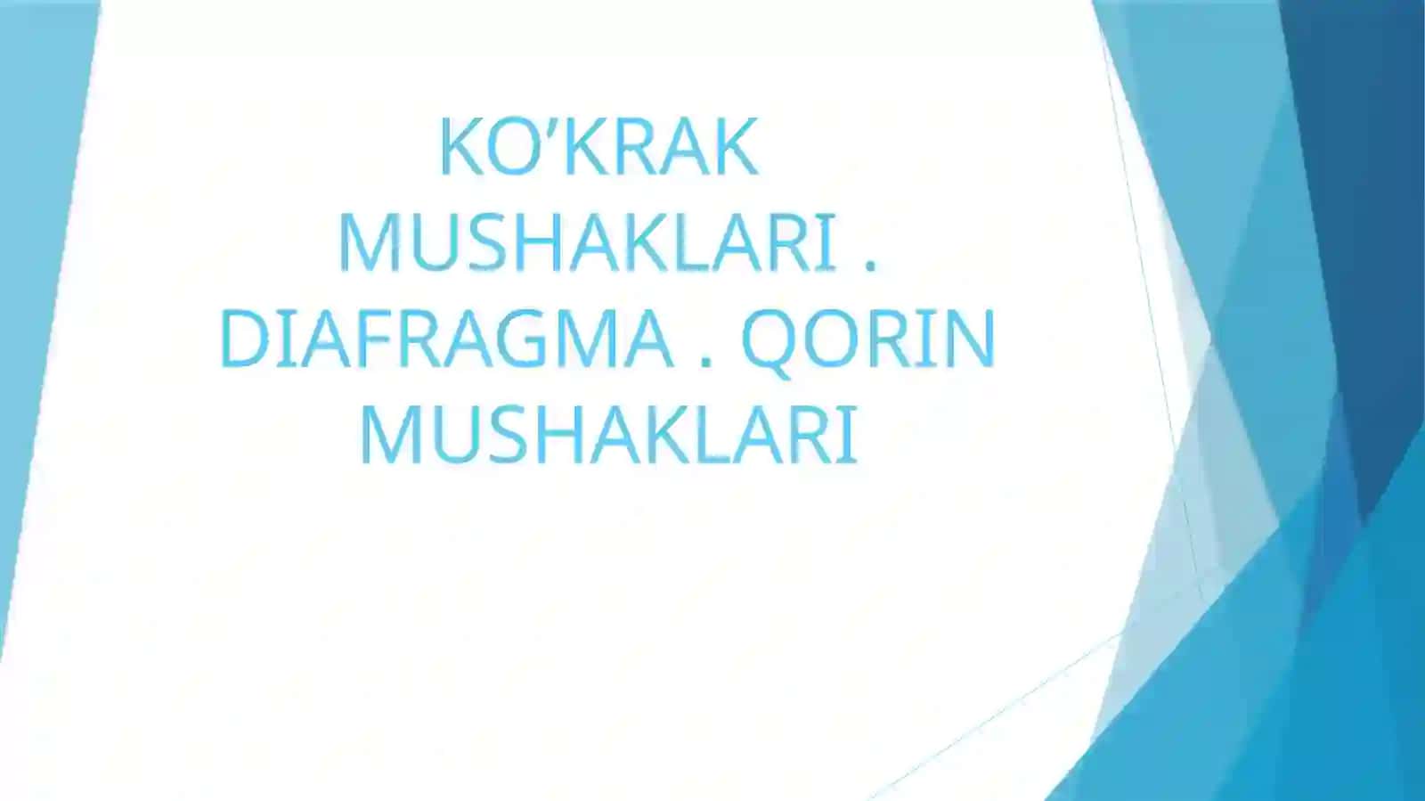 TOSHKENT DAVLAT STOMATOLOGIYA INSTITUTI STOMATOLOGIYA FAKULTETI 1-KURS 110-B GURUH TALABASI KAMOLAXON USMONALIYEVANING ANATOMIYA FANIDAN TAYYORLAGAN SLAYD 2