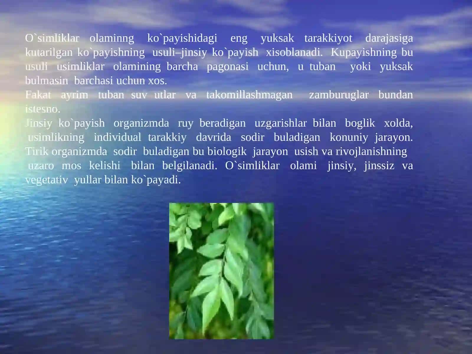 O'SIMLIKLARNI KO'PAYISH USULLARI 2