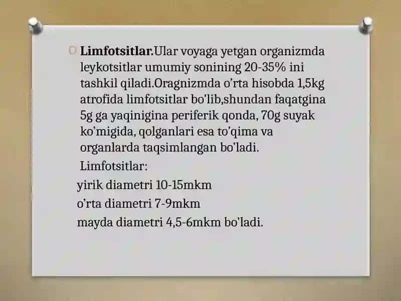 Limfotsitlar va ularning vazifalari 2