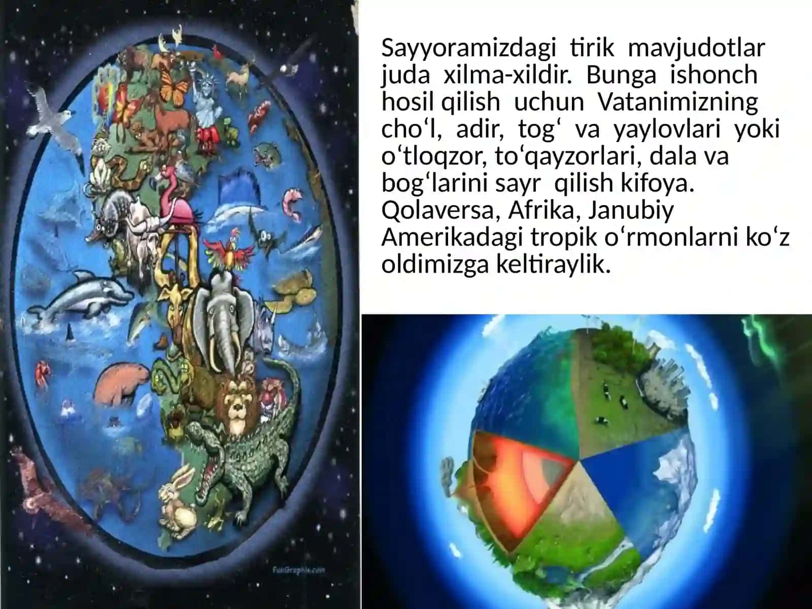 Tirik organizmlarning o‘zi gaxos xususiyatlari 2