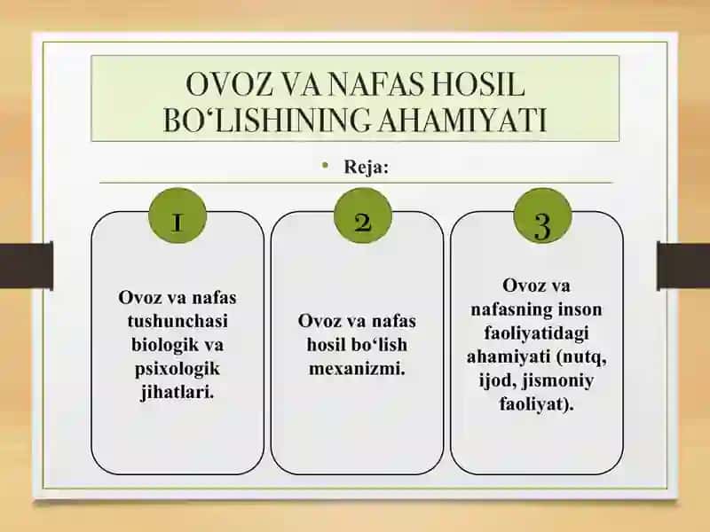 Ovoz hosil bo‘lishining akustik asoslarini yoritish 2