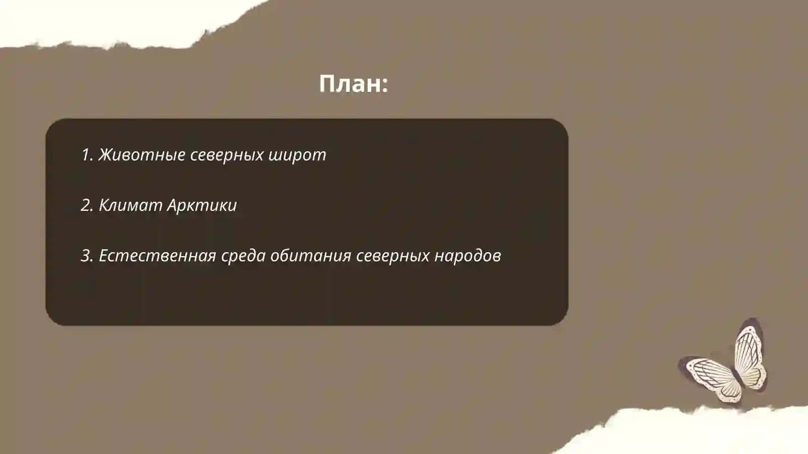 Животные северных широт 2