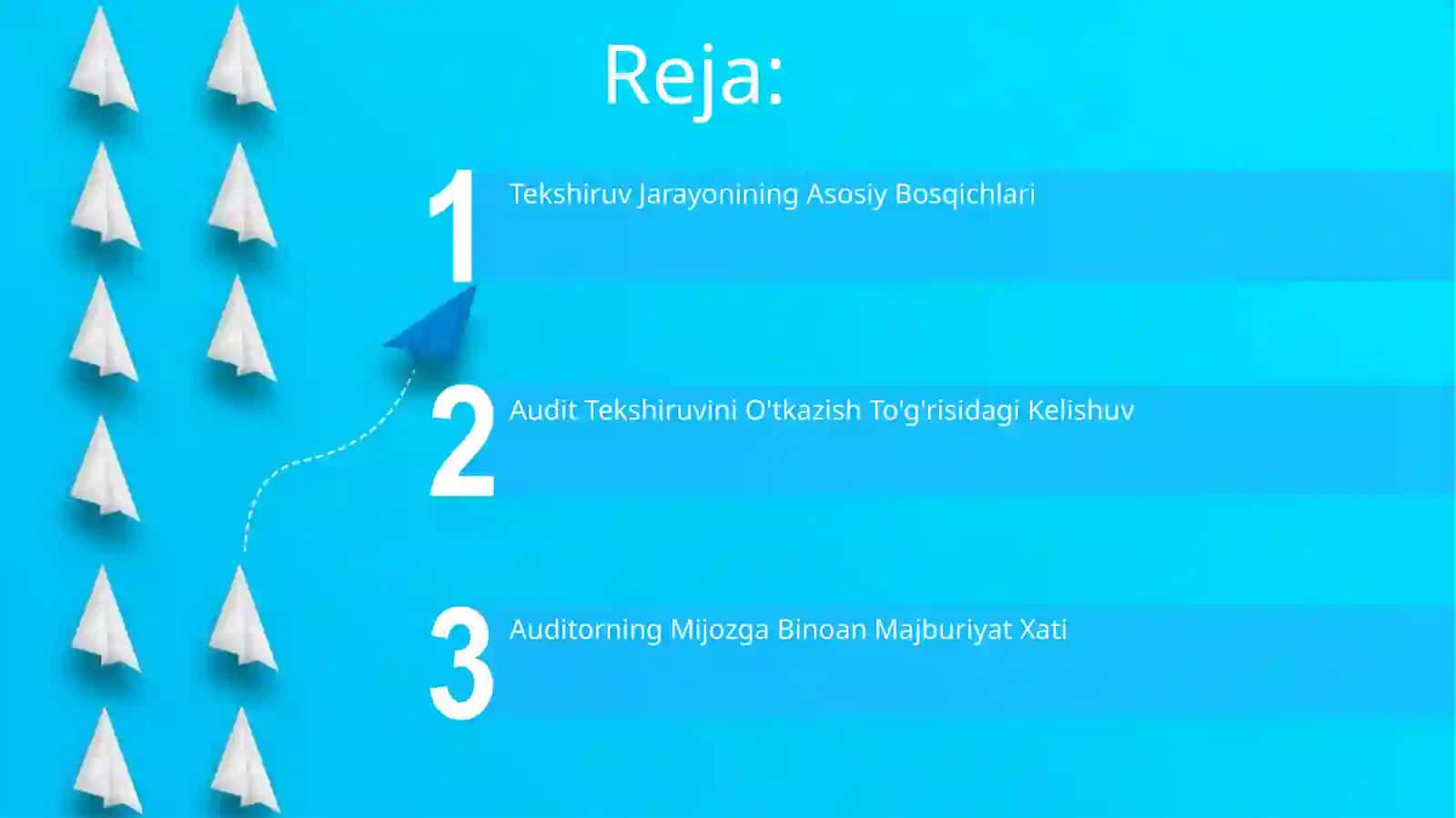 Auditorlik Tekshiruvi va Shartnomalari 2