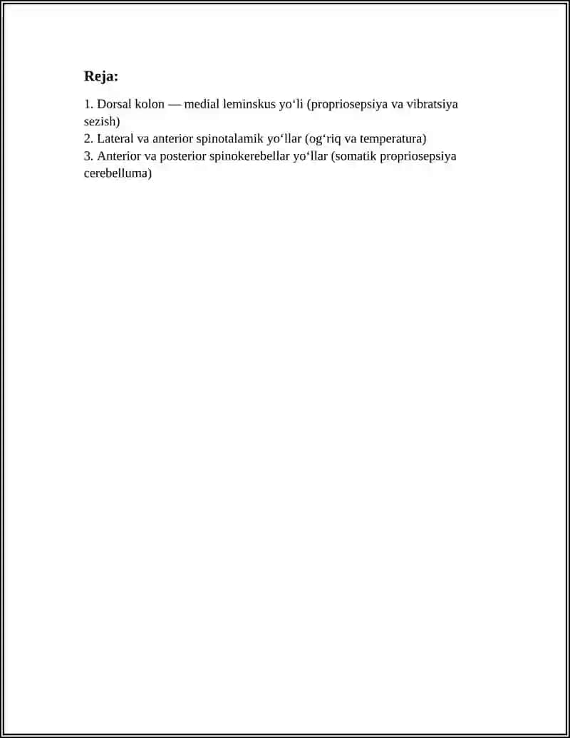 MARKAZIY NEVR TIZIMINING OʻTKAZUVCHI YOʻLLARI 2