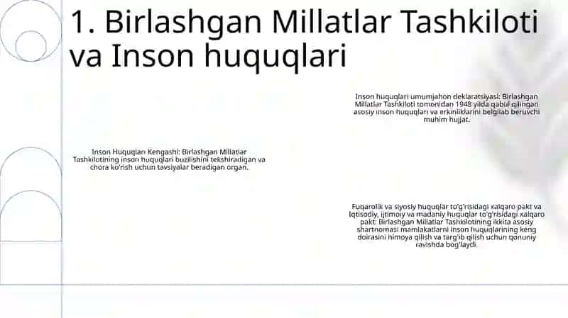 Bmt Va Inson Huquqlari 2