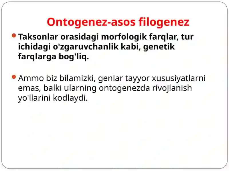 Ontogenez-asosfilogenez 2