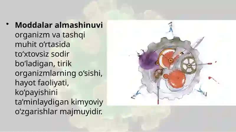Asosiy zahiramoddalarning moddalar almashinuvi 2