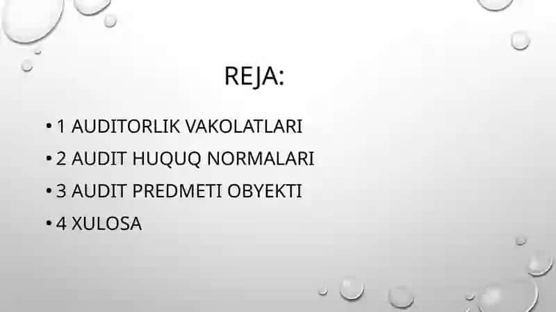 Auditorlik faoliyatining moliyaviy vahuqi tabiati 2