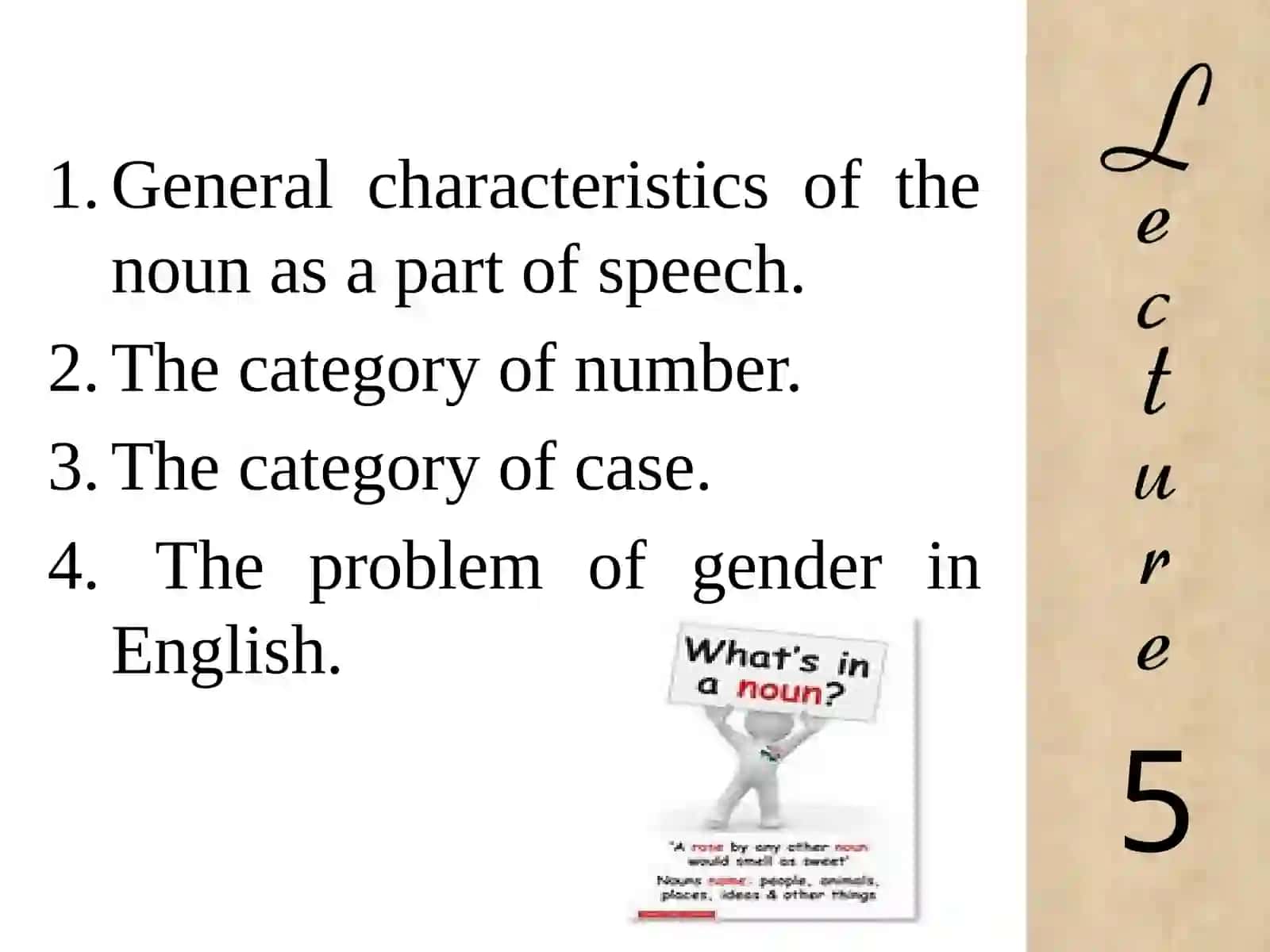 THE ENGLISH NOUN AND ITS GRAMMATICAL CATEGORIES 2
