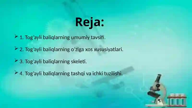 Tog’ayli baliqlar sinfining tavsifi 2