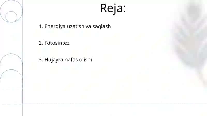 O'simlik hujayrasining energetikasi haqida 2