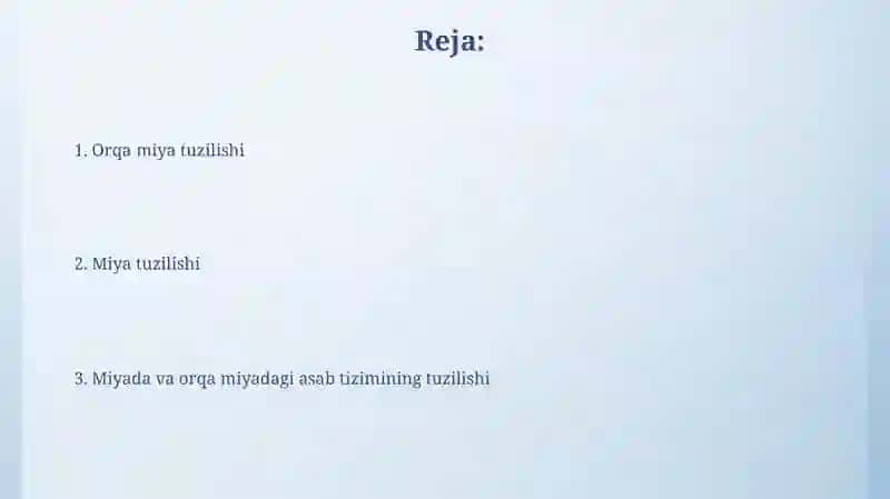 Orqa miya tuzilishi 2