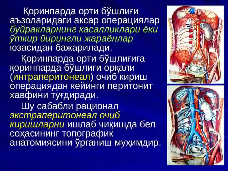 Bel sohasi va qorin parda orti boshligi 2