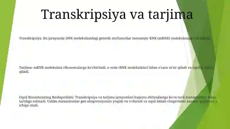 Oqsil Biosintezining Boshqarilishi 2