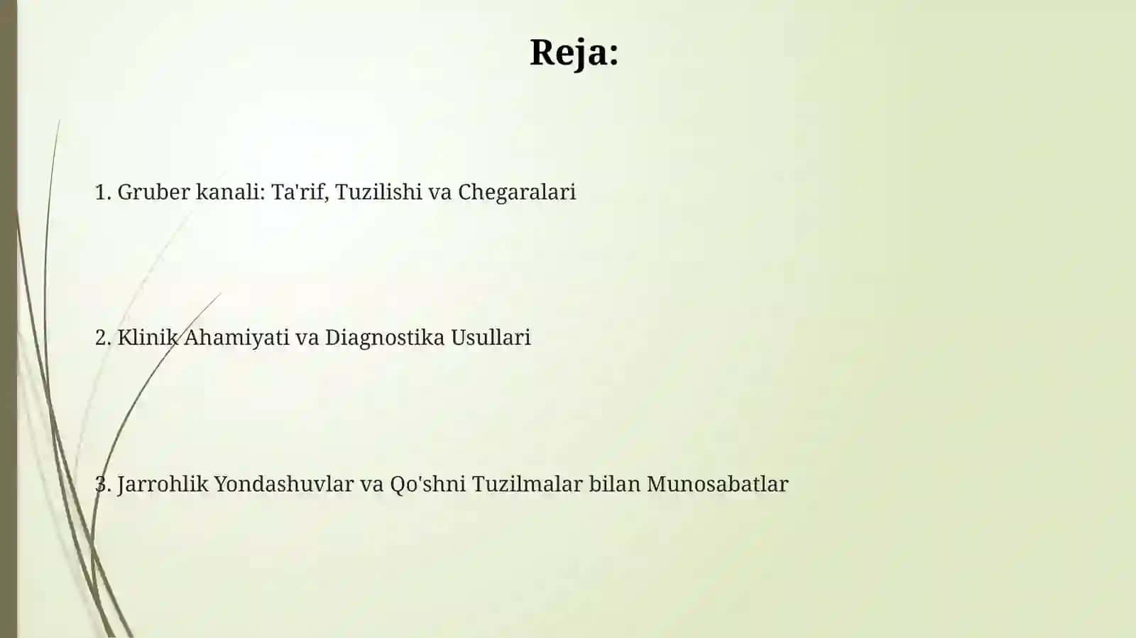 Gruber kanali: Ta'rif, Tuzilishi va Chegaralari 2