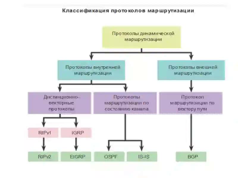 Тармоқ протоколлари (Маршрутизация протоколлари RIP/RIPng, OSPF, IGRP, EIGRP, BGP) 2