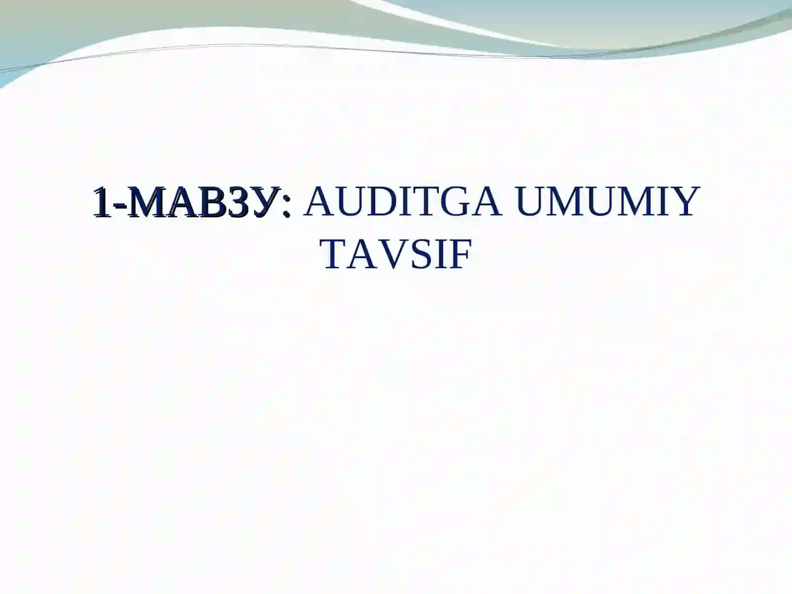 AUDITGA UMUMIY TAVSIF 2