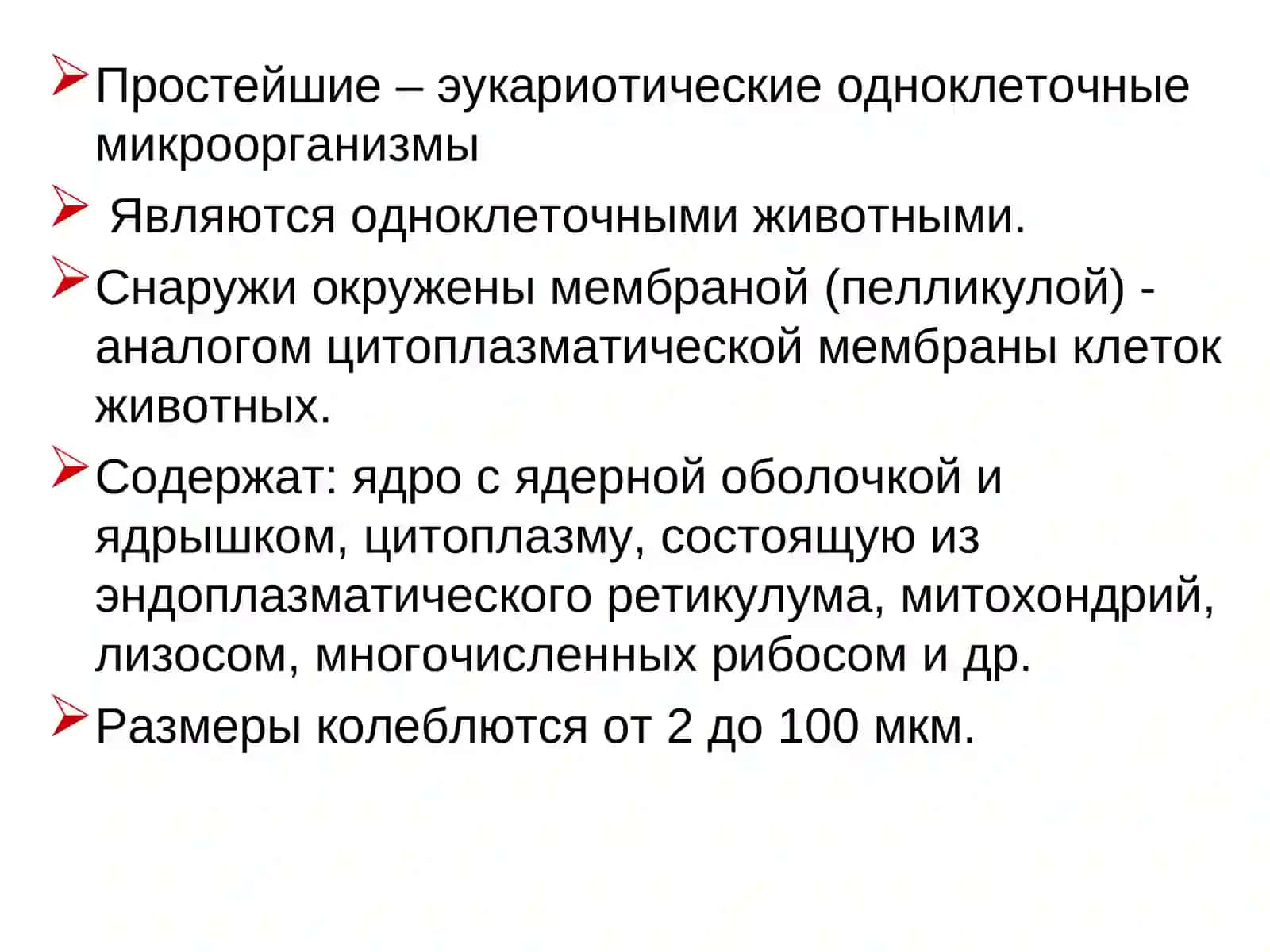 Простейшие 2
