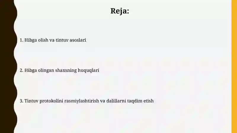 Olib qo’yish va tintuv 2
