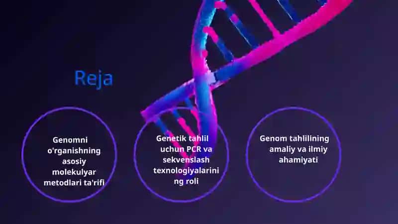 Genomni o'rganishning molekulyar-genetik metodlari 2