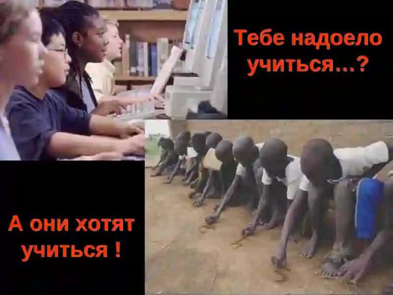 Овощи и зелень 2