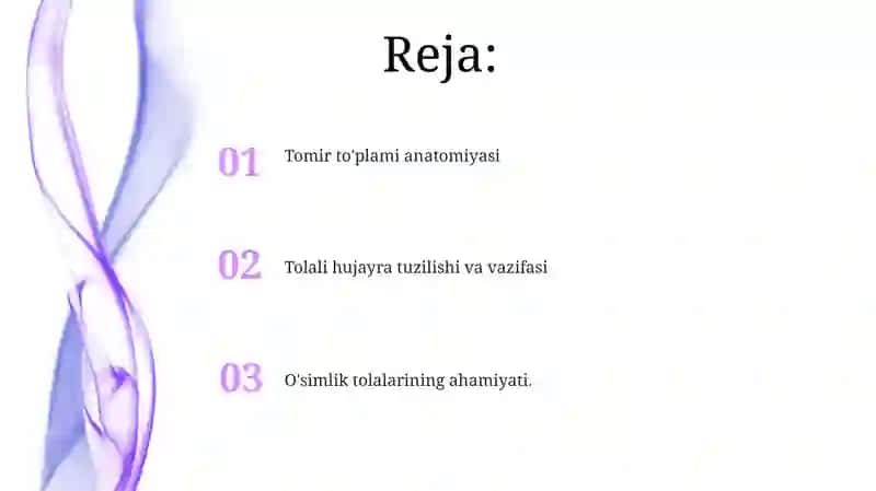 Tomir to'plami anatomiyasi 2