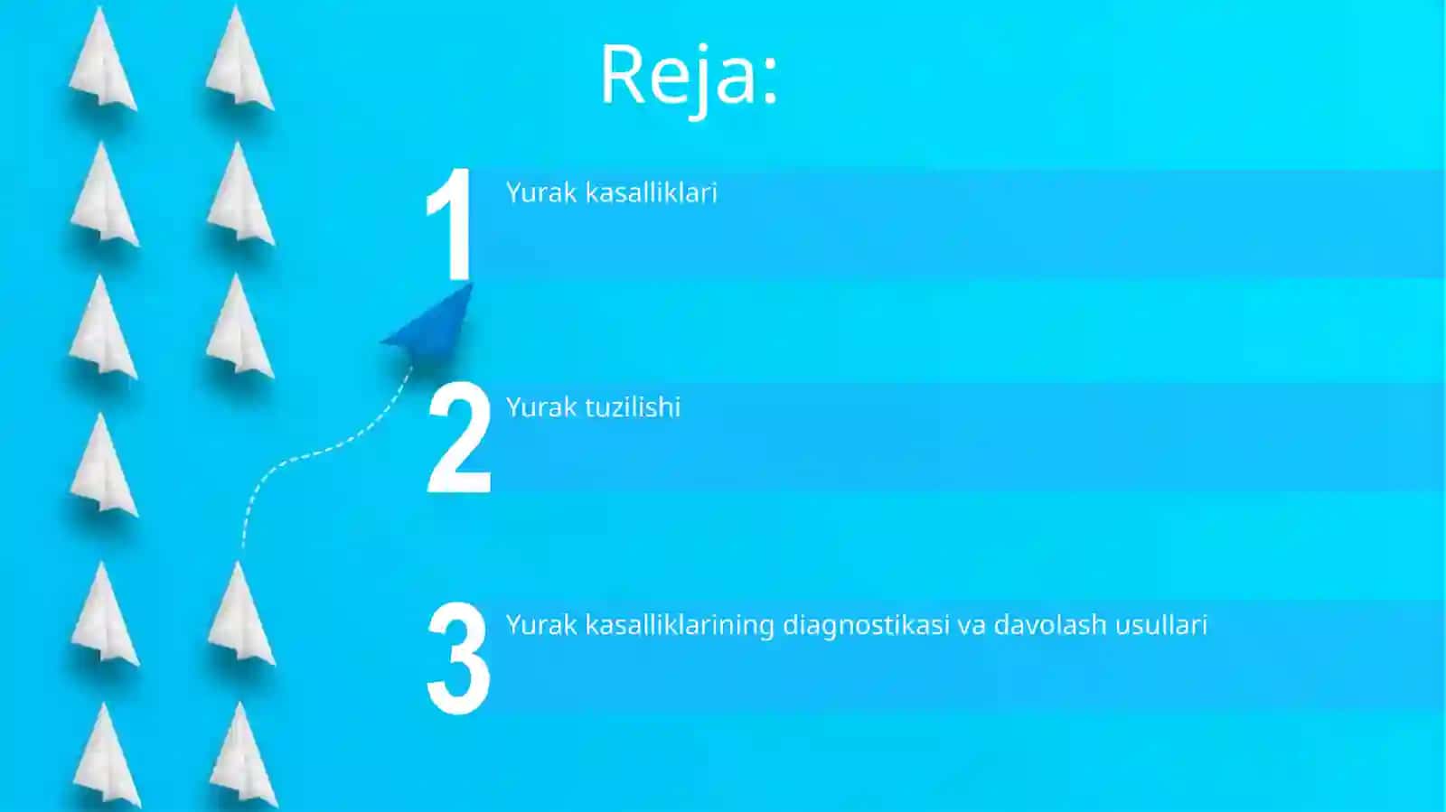 Yurakning tuzilishi va kasalliklari 2