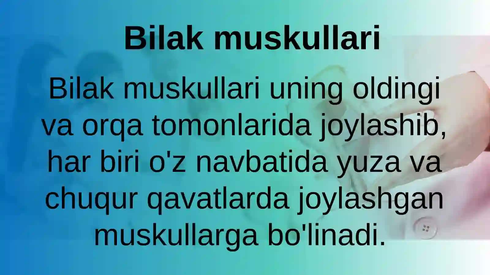 "Bilak Tirsak Va panja Muskullari" 2