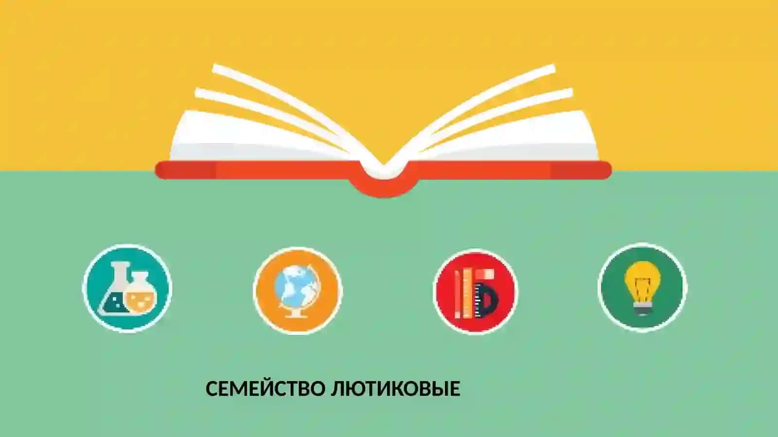Семейство Лютиковые 2