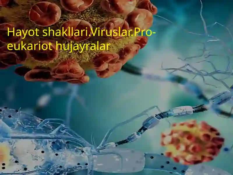 Viruslar va Pro-eukariot hujayralar 2