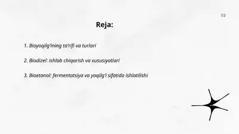 Bioyoqilg'i 2