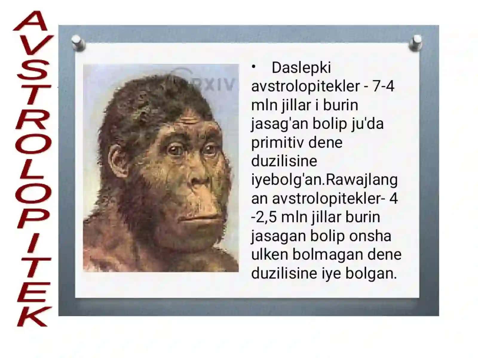 Avstrolopitekler Haqida Tushinik 2