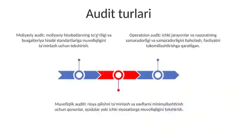 Auditorlik Tekshiruvi Turlari Va Shakillari 2