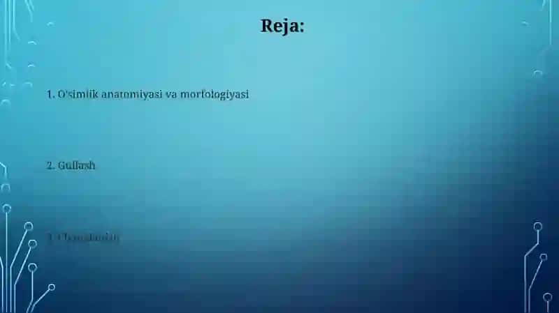 O'simlik anatomiyasi va morfologiyasi 2
