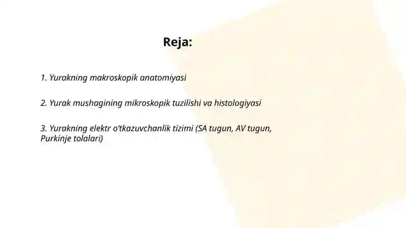 Yurak va tomirlar tizimi 2